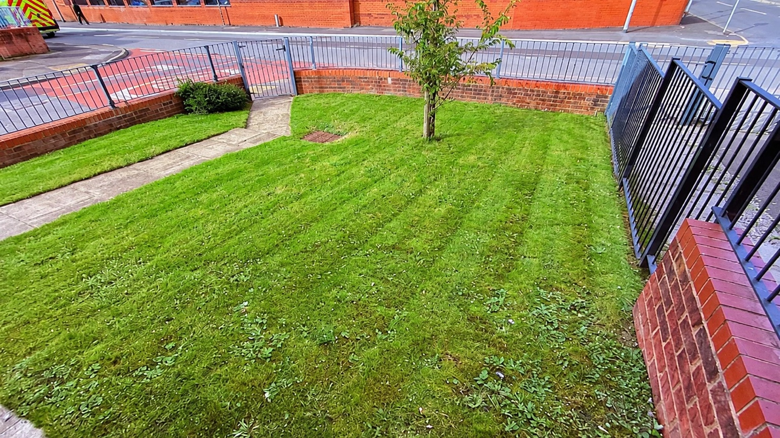 Lawn mowing and garden maintenance