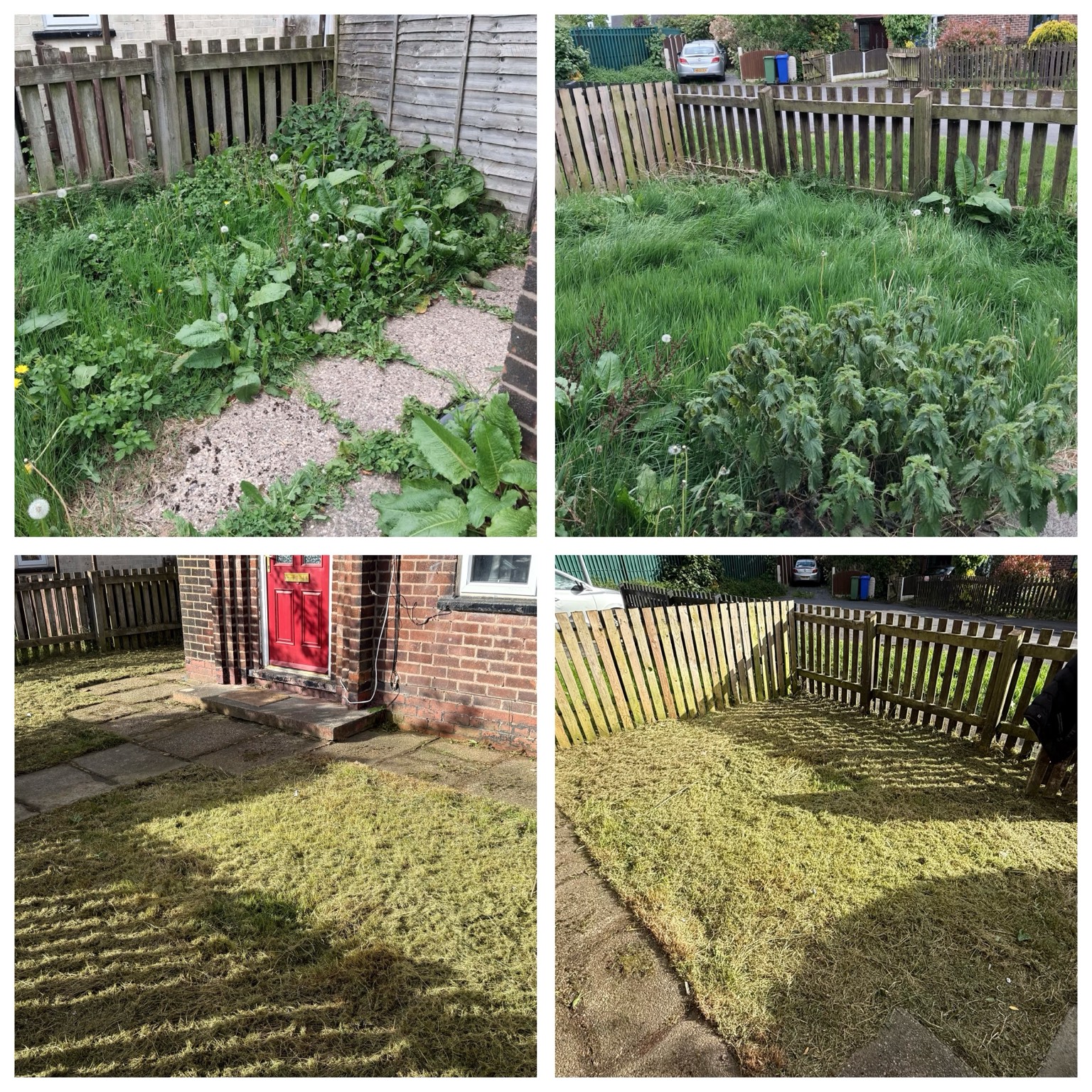 Garden clearance — before and after