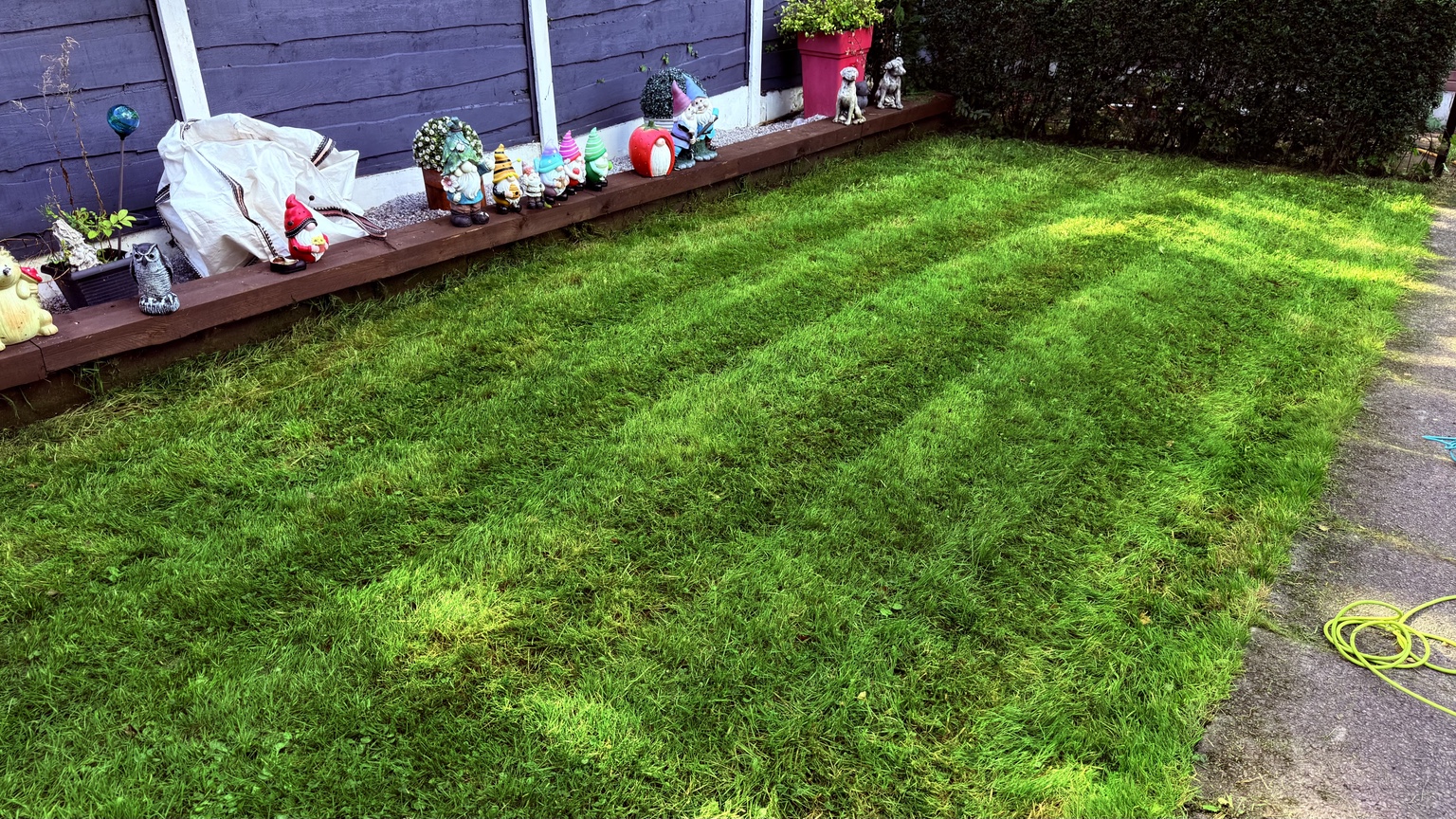 Fresh lawn finish