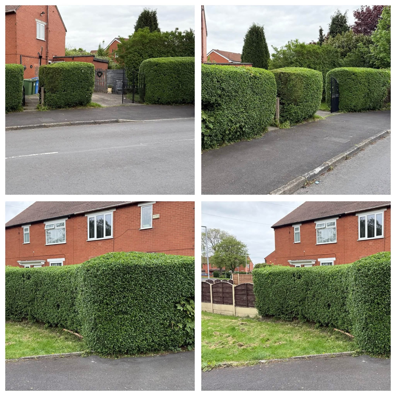 Neatly shaped front garden hedges