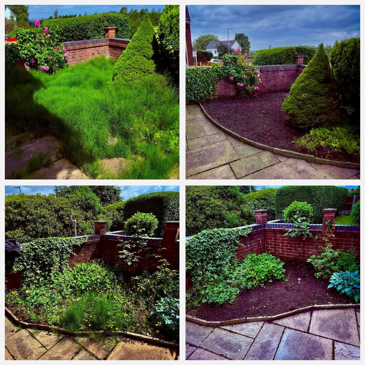 Garden transformation examples