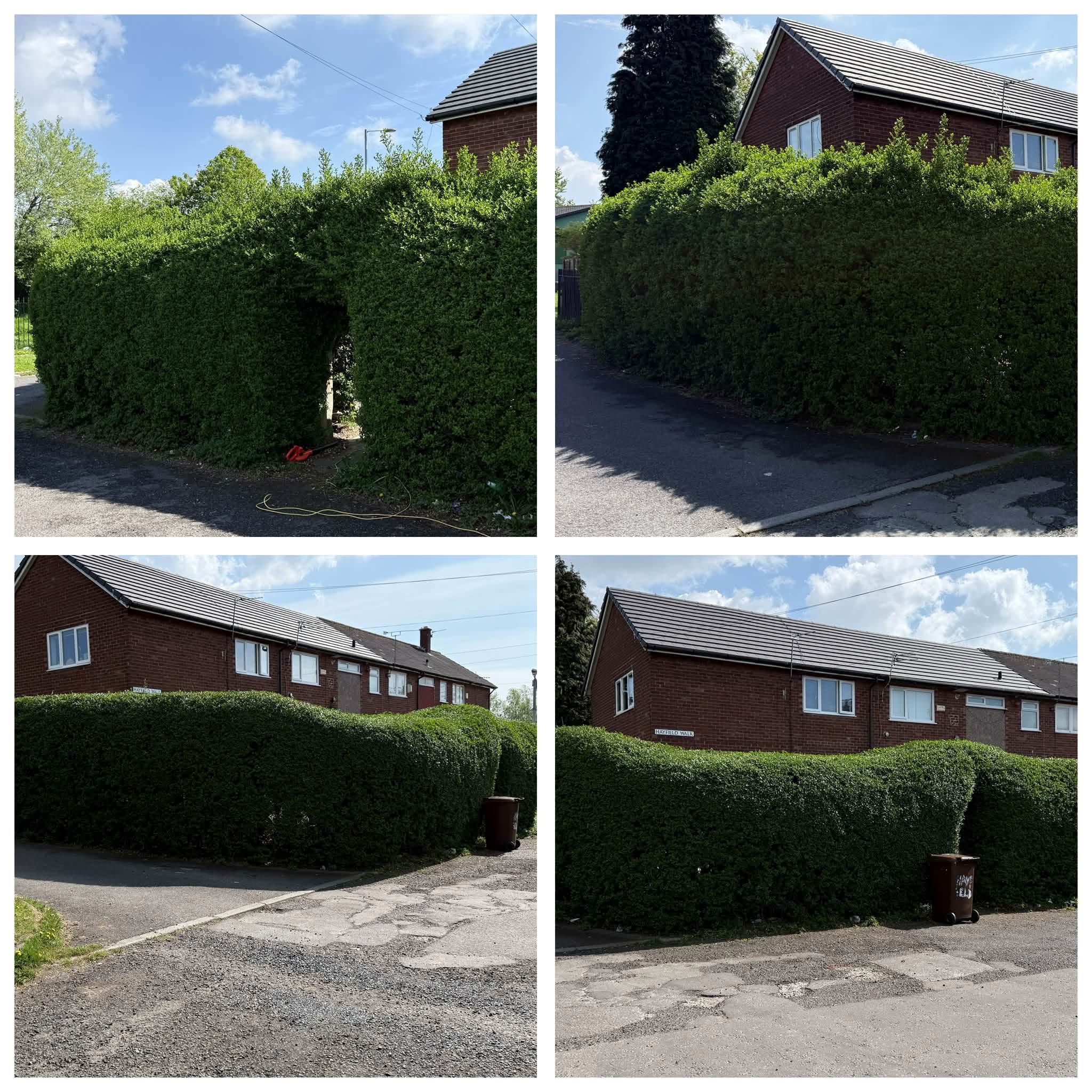 Hedge work examples