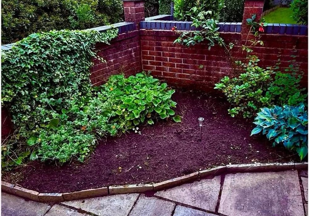 Long garden hedge