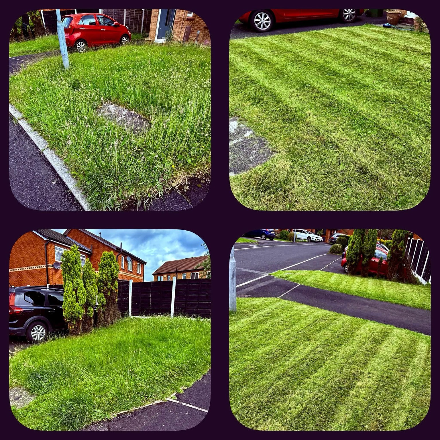 Lawn and garden work collage