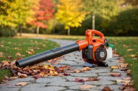 Leaf blower clearing fallen leaves from grass
