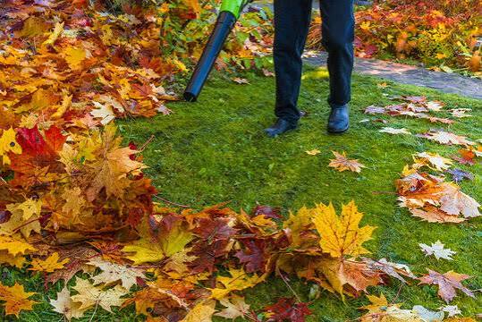 Leaf blower ready for seasonal garden cleanup