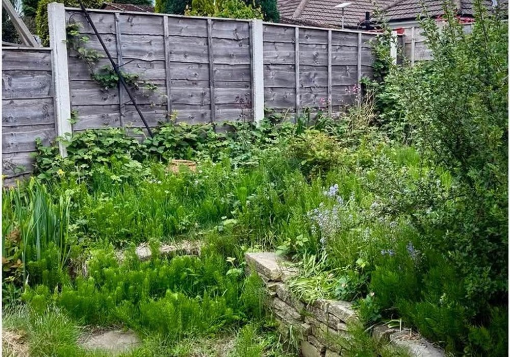 Maintained garden border